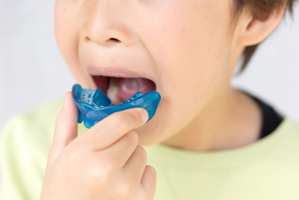 プレオルソについて